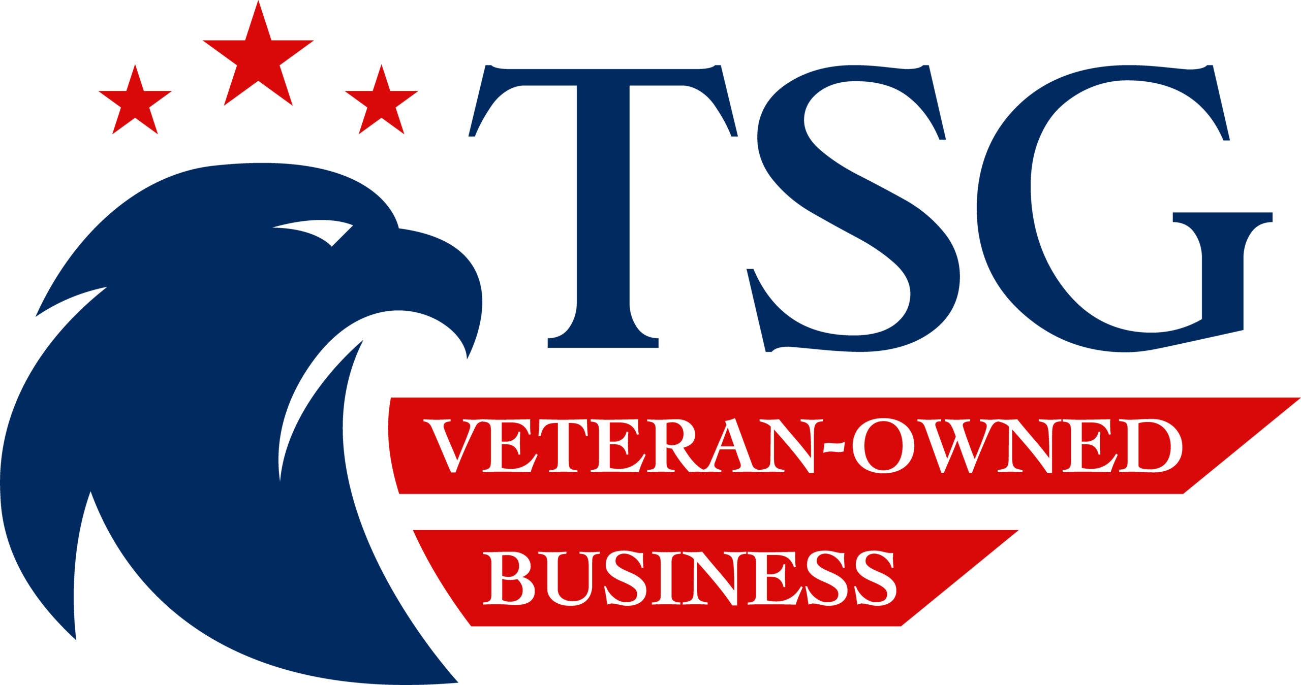 TSG Performance Logo